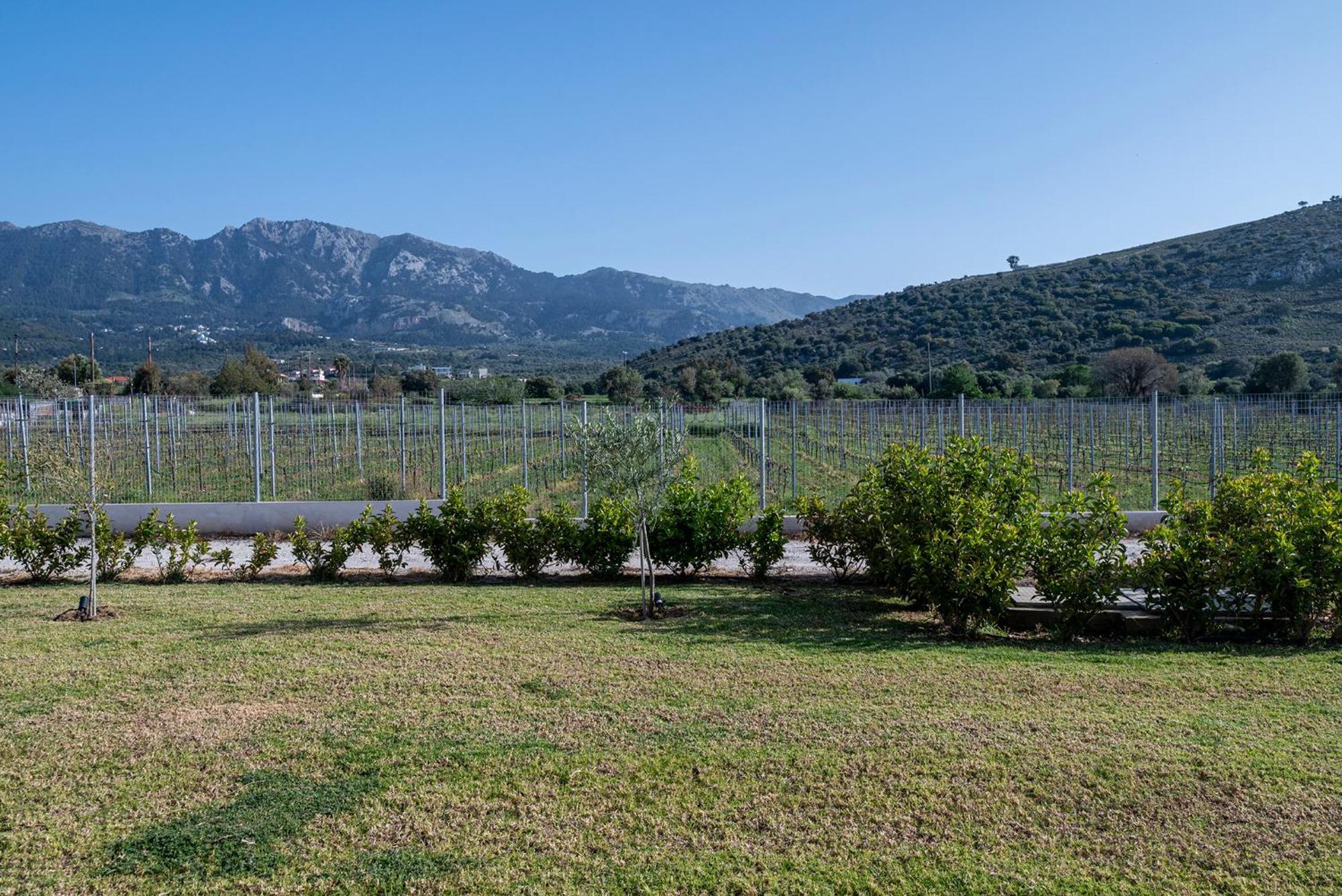 Olive Tree Garden Villa Linopotis Buitenkant foto